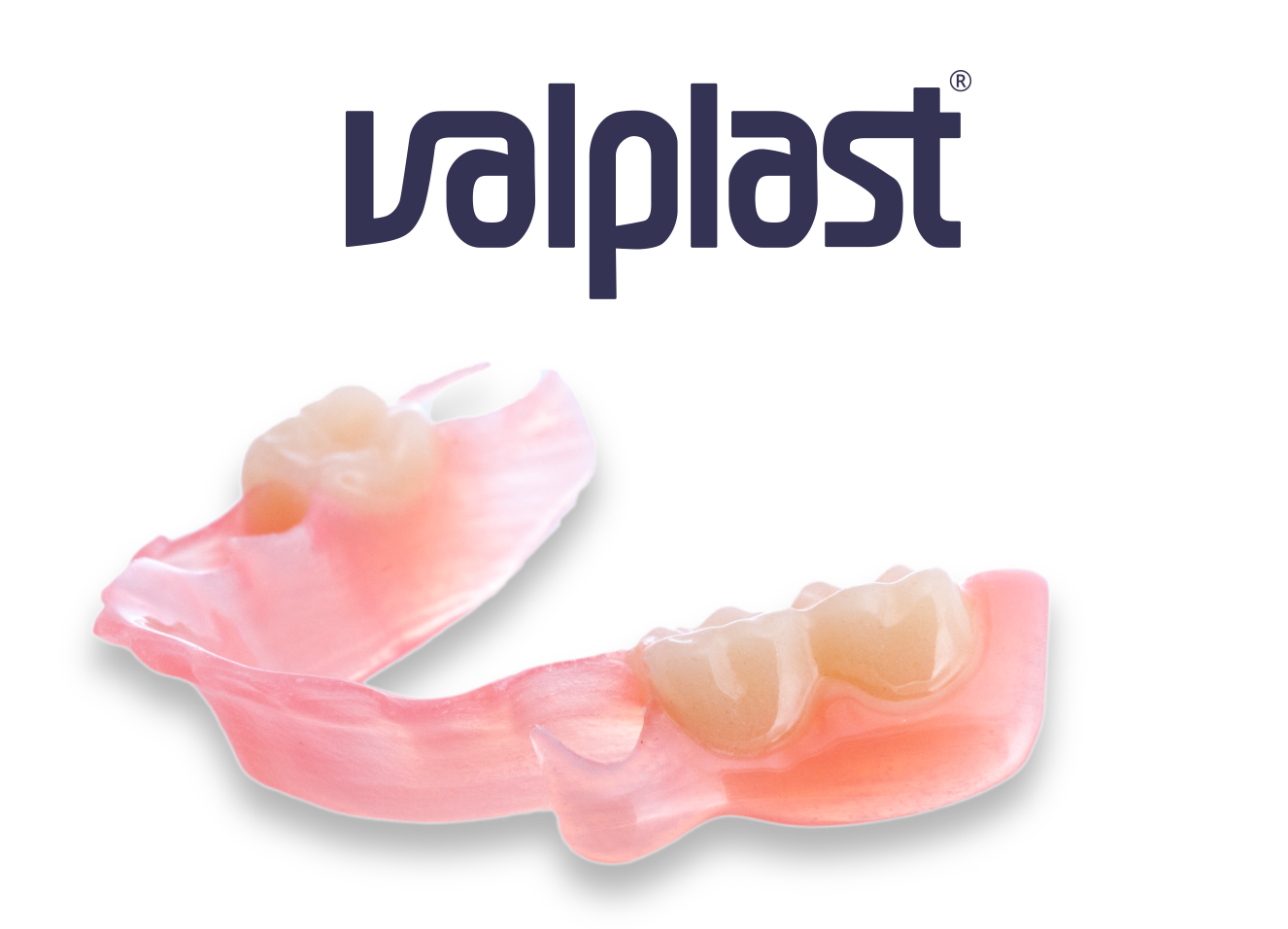 Valplast logo with partial